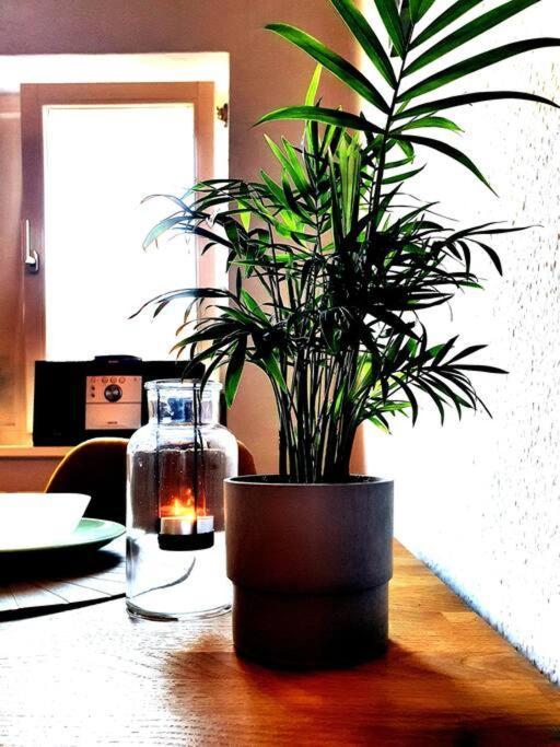 Rostock Hautnah Erleben - Schoene Maisonette 2Og エクステリア 写真